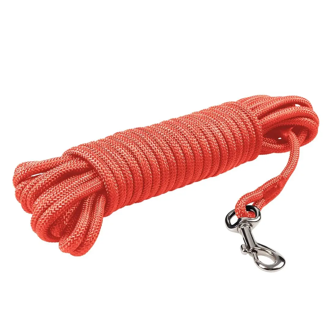 Meilleurs prix pour Laisse pour chien Duvoplus Classic