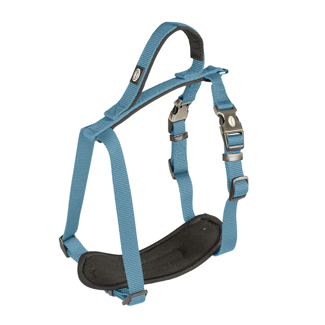 Duvoplus Bleu Nylon Dog Harness Explor North