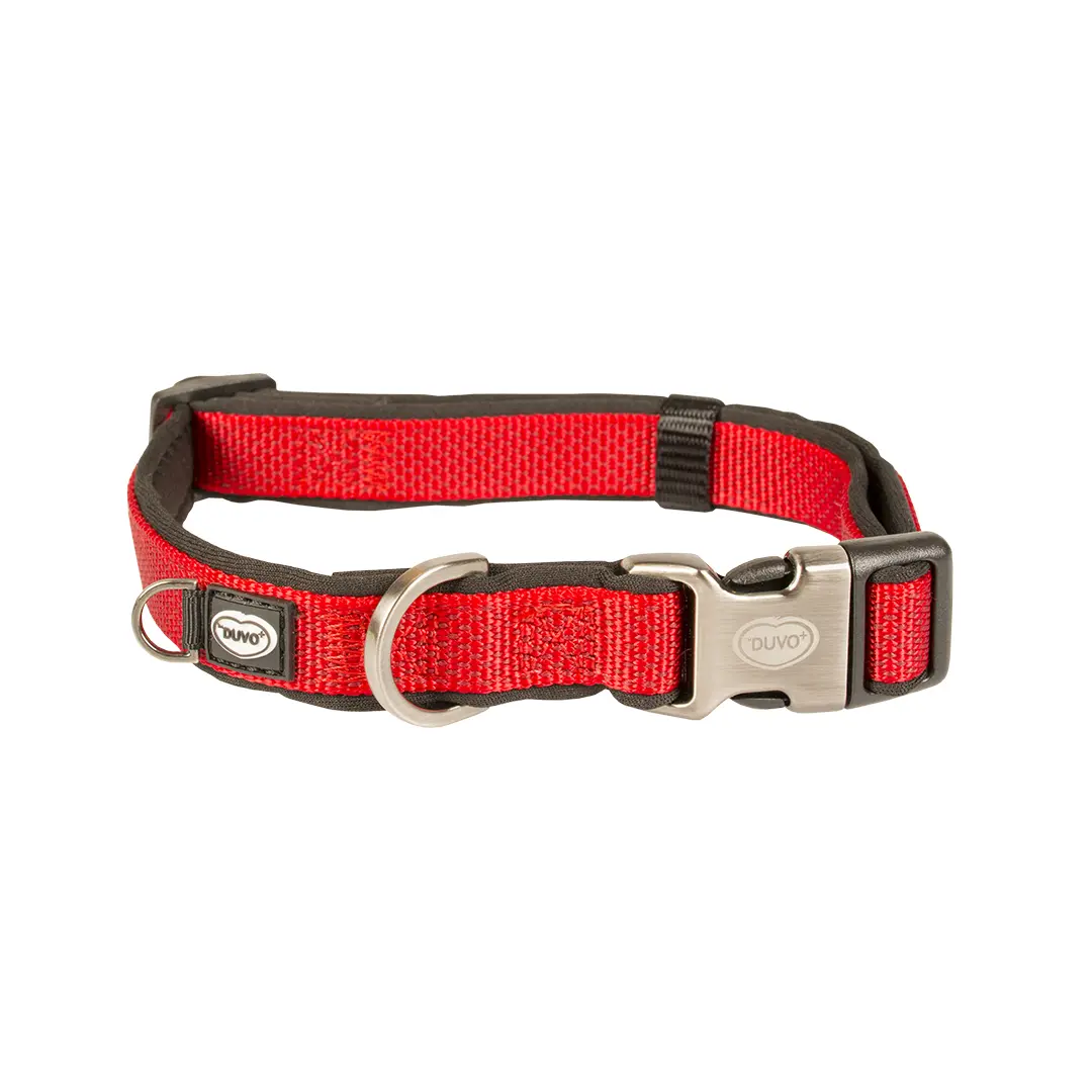 Duvoplus Rouge Nylon Dog Collar Explor North