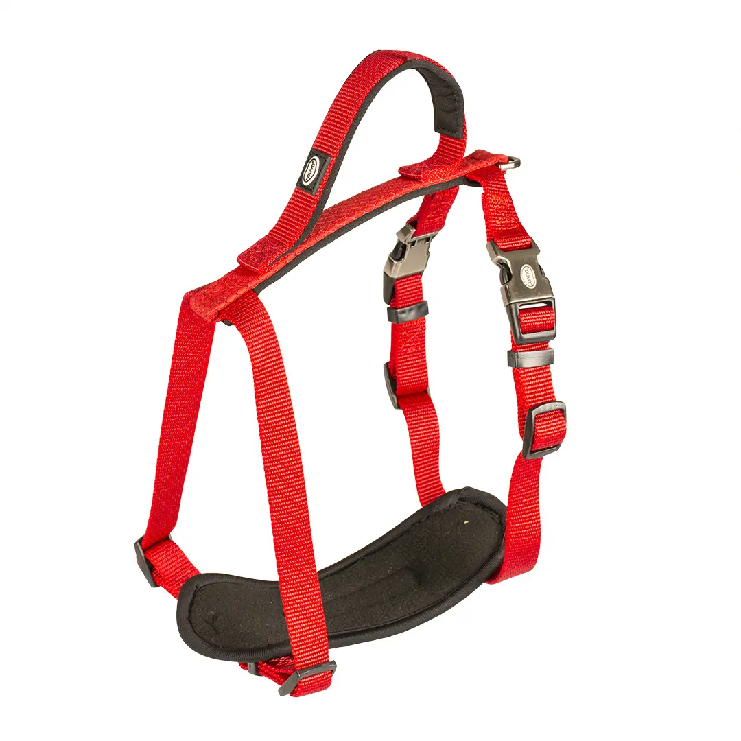 Duvoplus Rouge Nylon Dog Harness Explor North