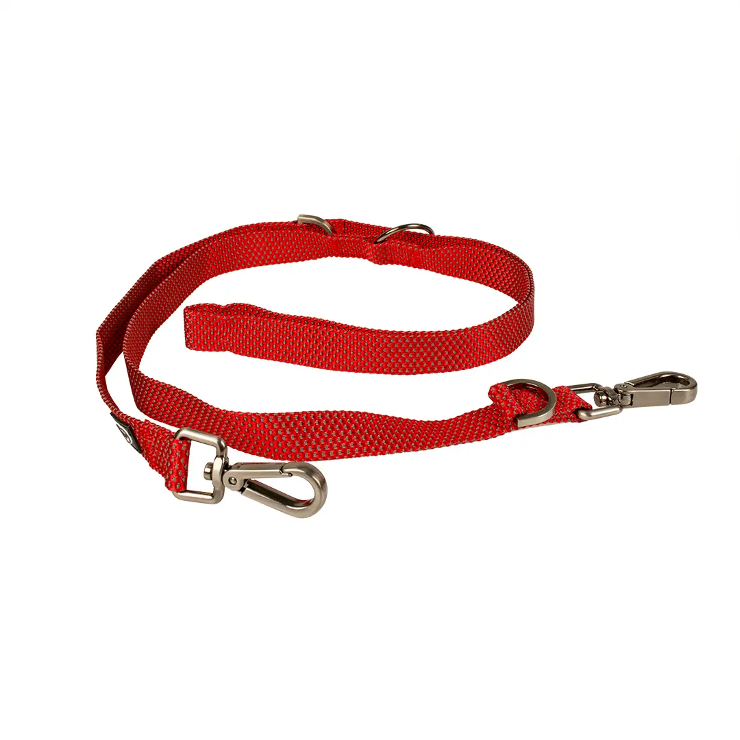 Meilleurs prix pour Laisse pour chien en nylon Duvoplus Explor East Duo