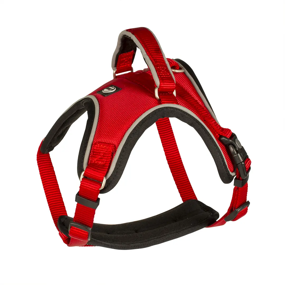 Harnais pour chien en nylon Duvoplus EXPLOR West