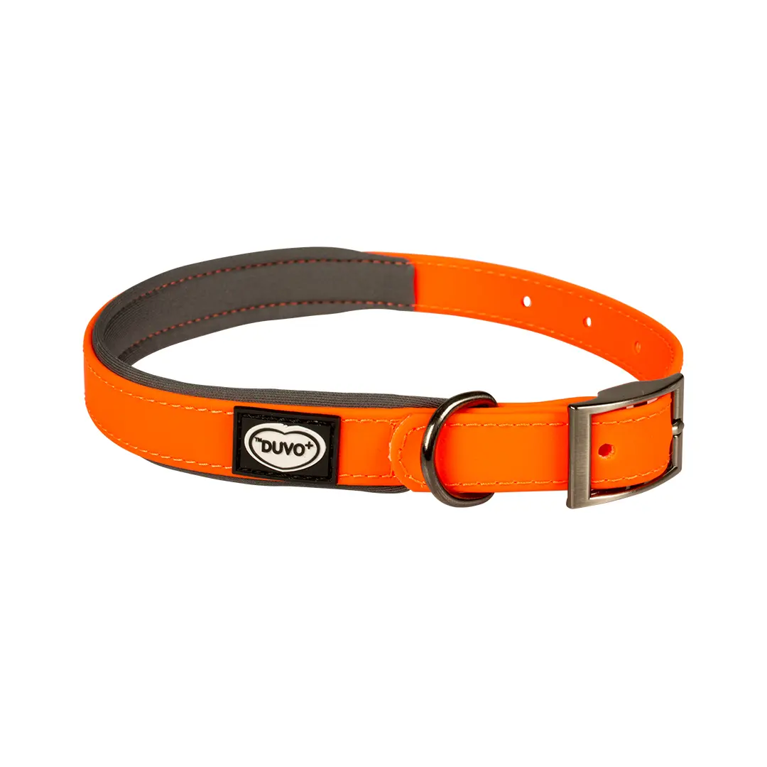 Meilleurs prix pour Collier pour chien en PVC Duvoplus Explor South