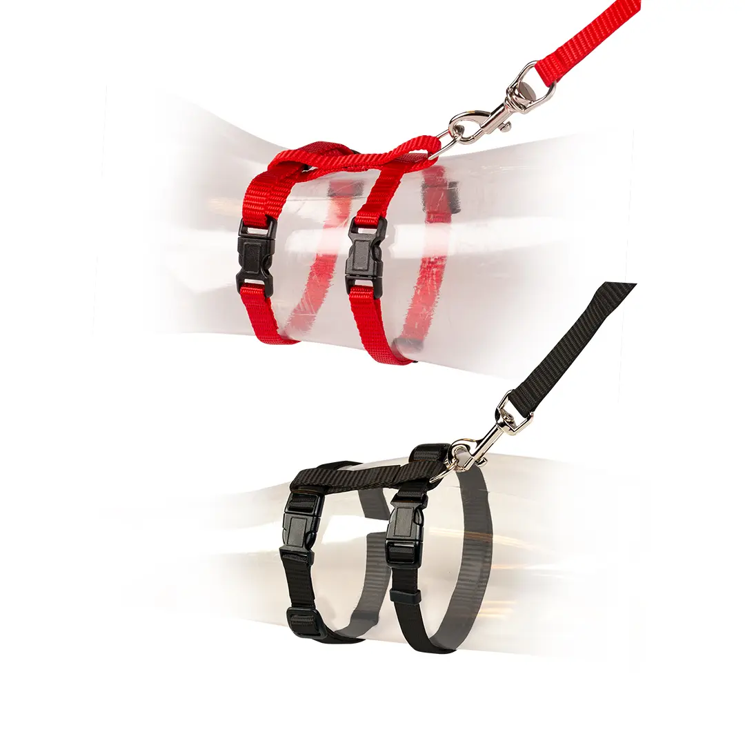 Meilleurs prix pour Laisse et harnais pour chat Duvoplus Uni