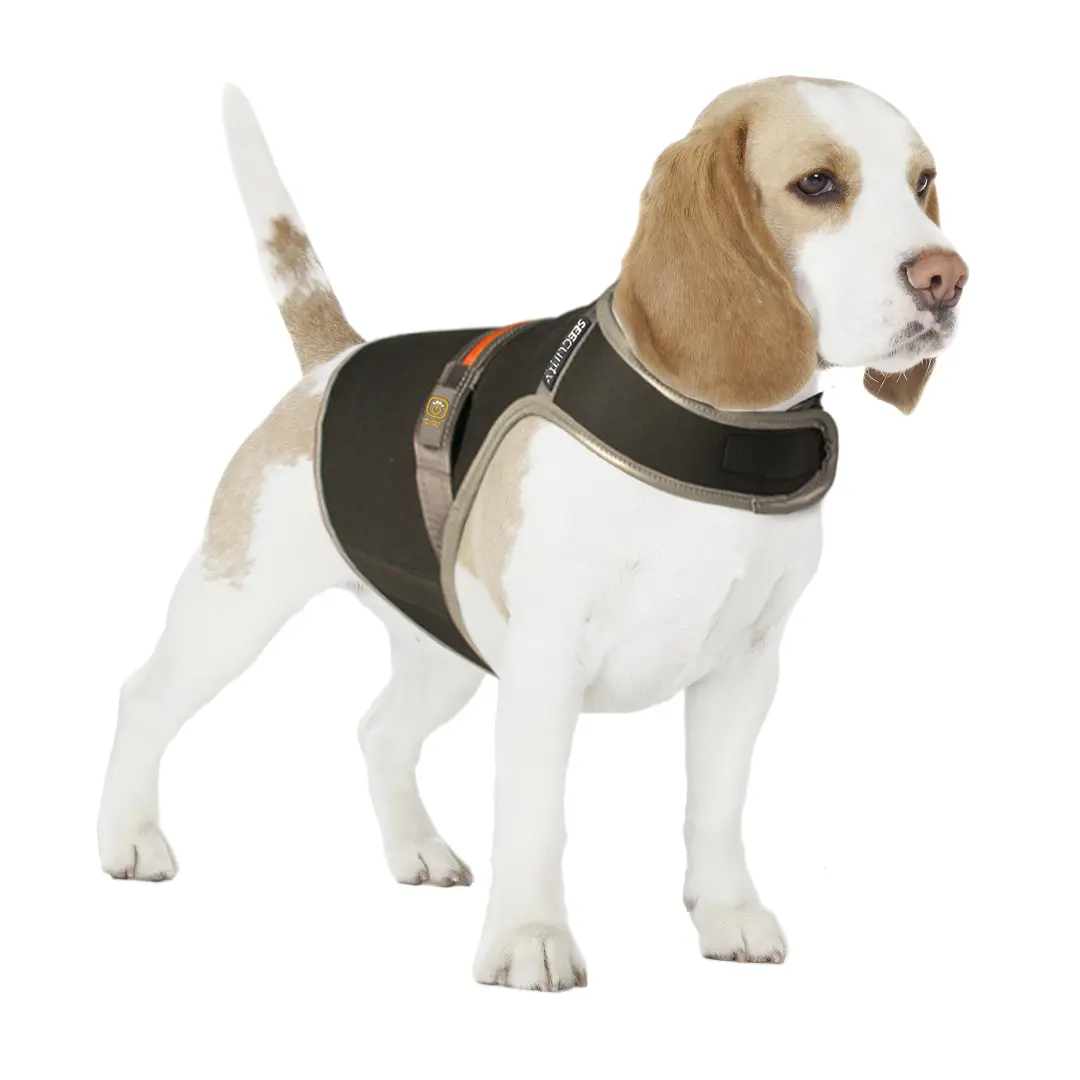 Meilleurs prix pour Gilet de sécurité pour chien réfléchissant et lumineux avec USB Duvoplus