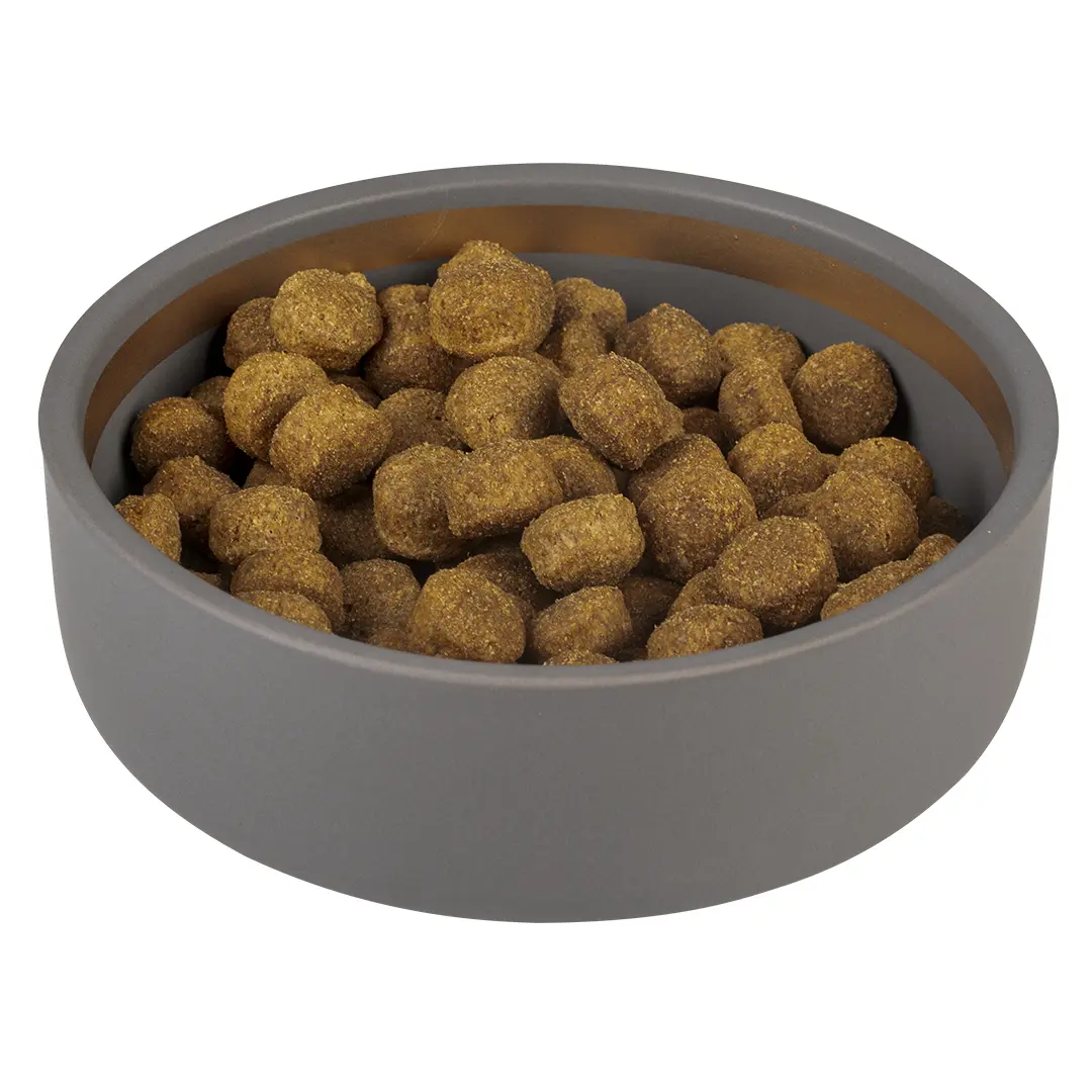 Meilleurs prix pour Gamelle pour chien Duvoplus Stone Happy Dog