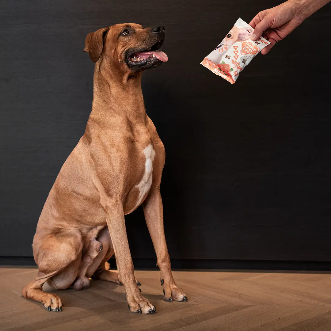 Comparer les prix de Sac de récompense pour chien Duvoplus