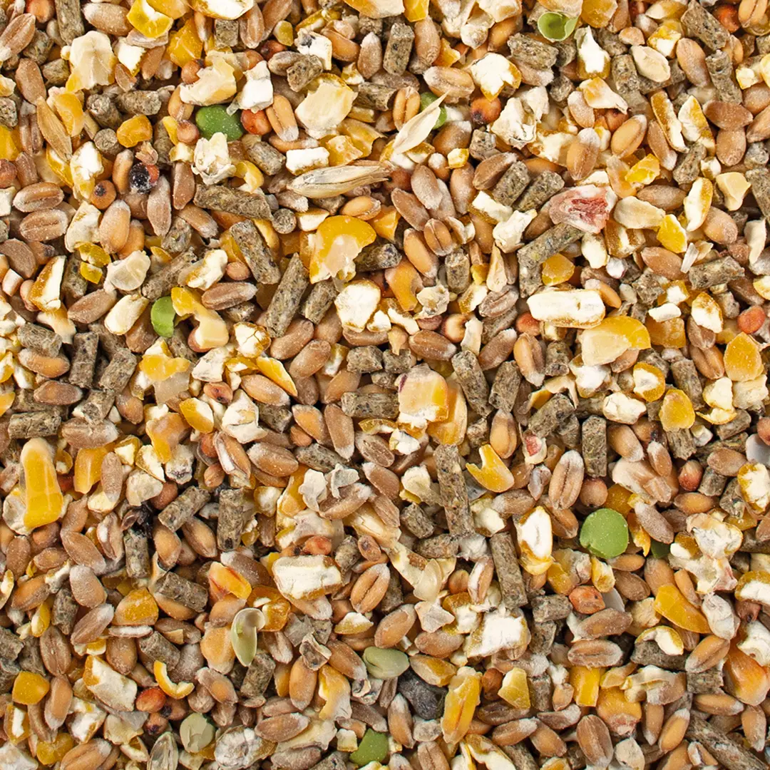 Comparer les prix de Complément alimentaire Duvoplus