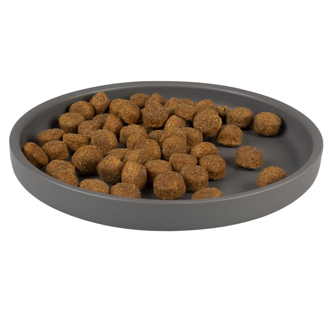 Comparer les prix de Gamelle pour chien Duvoplus Stone Hush