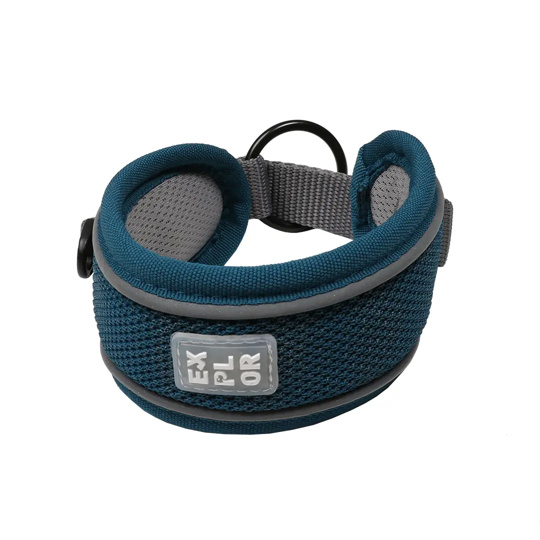 Meilleurs prix pour Collier classic pour chien Duvoplus Ultimate Fit Comfy XS