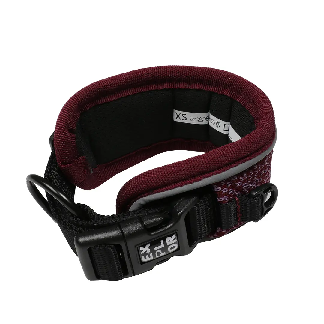 Meilleurs prix pour Collier fashion pour chien Duvoplus Ultimate Fit Control L
