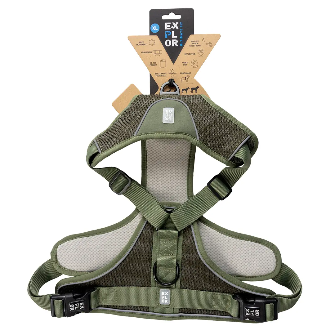 Duvoplus Vert Classic Dog Leash And Harness Ultimate Fit No-Pull L