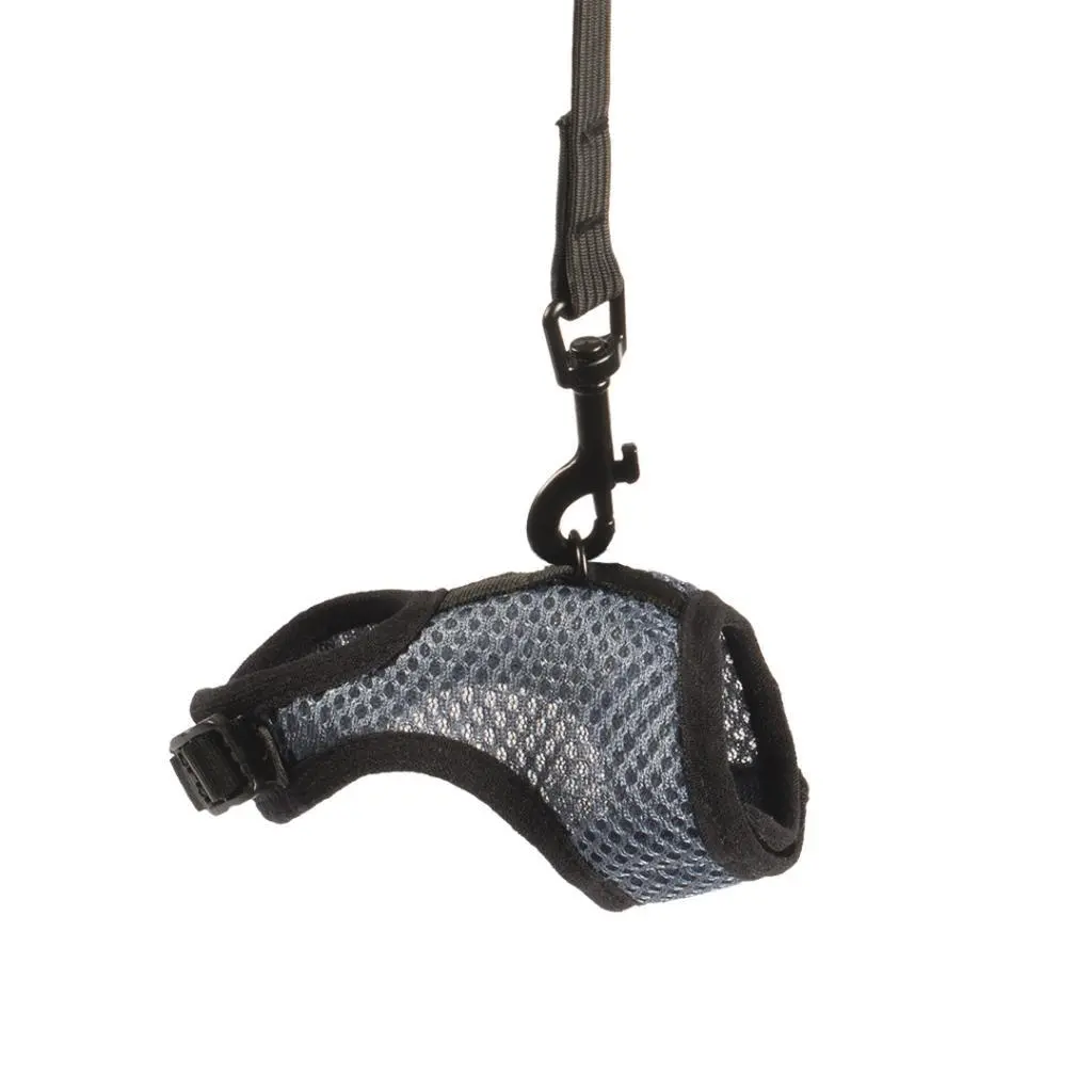 Duvoplus Bleu Small Harness With Mammal Leash
