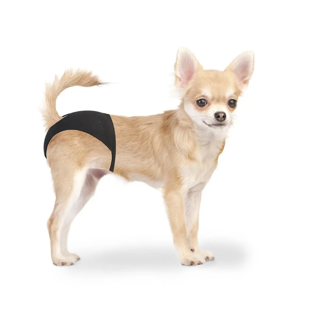 Meilleurs prix pour Culotte pour chien Duvoplus