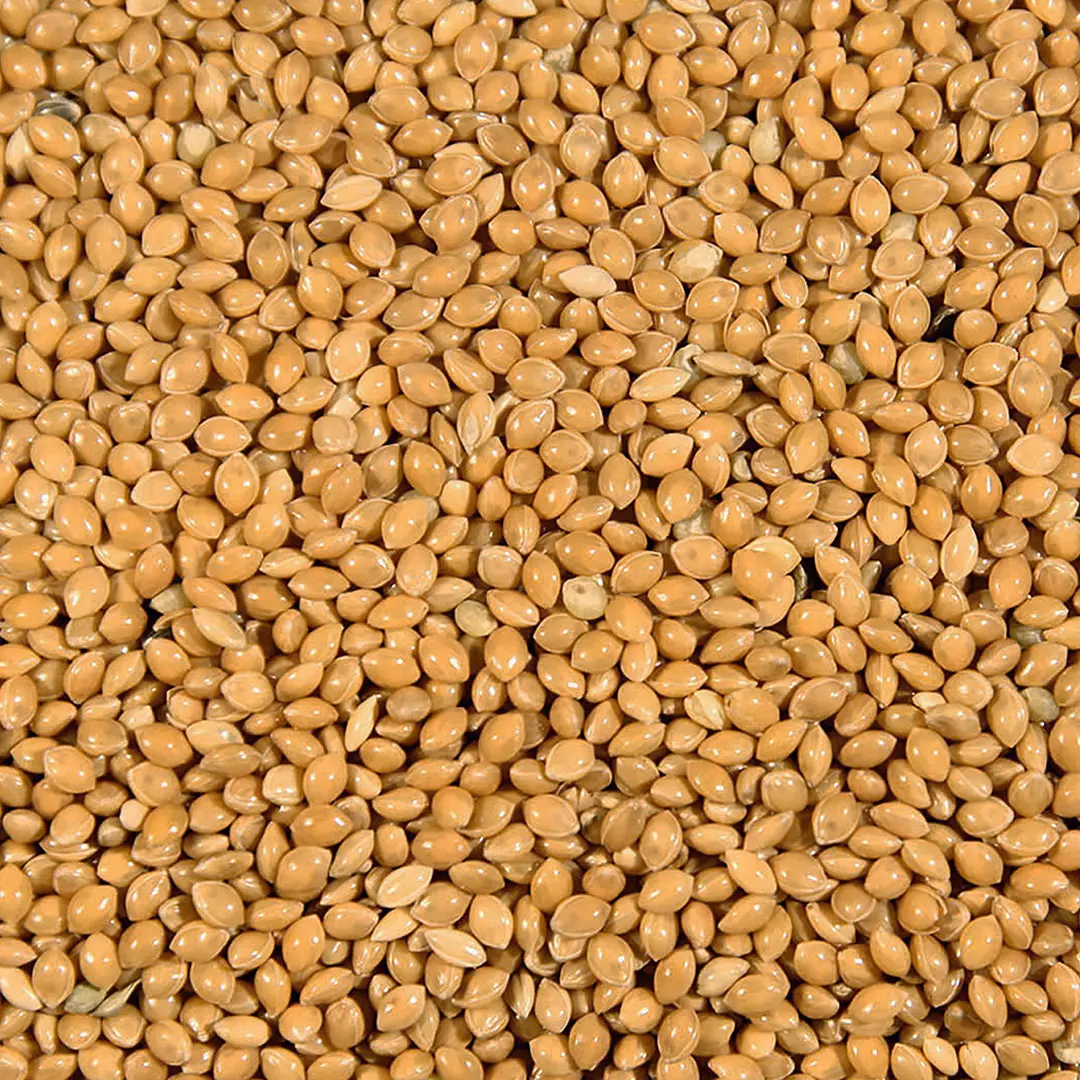 Comparer les prix de Jouet pour oiseaux en bois avec cuir et corde Duvoplus