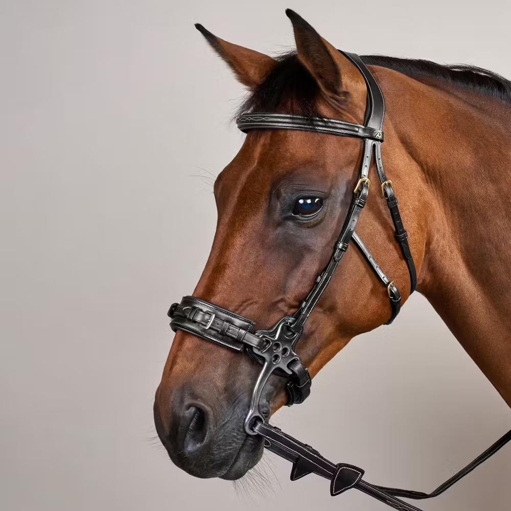Hackamore per cavallo Dy'on