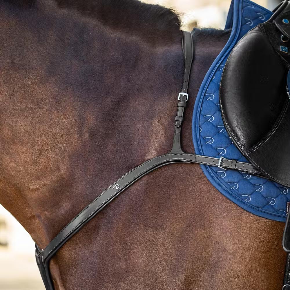 Collare da caccia per cavalli Dy'on New English Collection