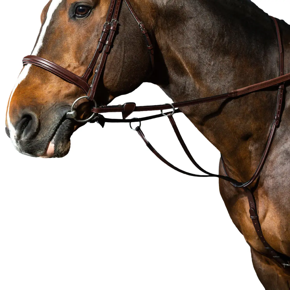 Comparer les prix de Martingale à anneaux Dy'on New English Collection