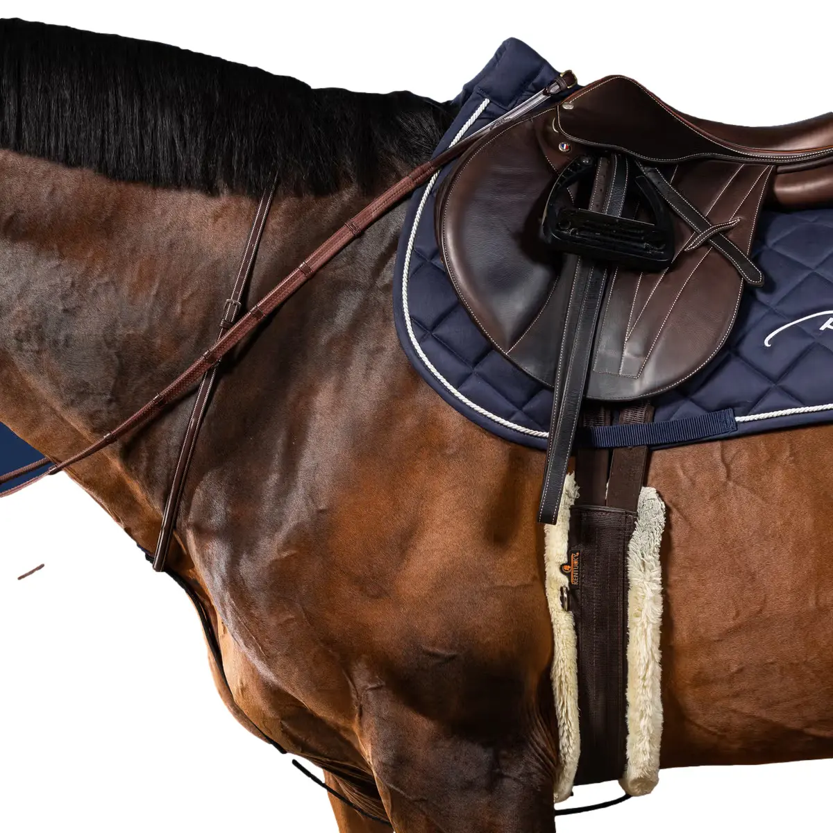 Meilleurs prix pour Martingale à anneaux Dy'on US Collection