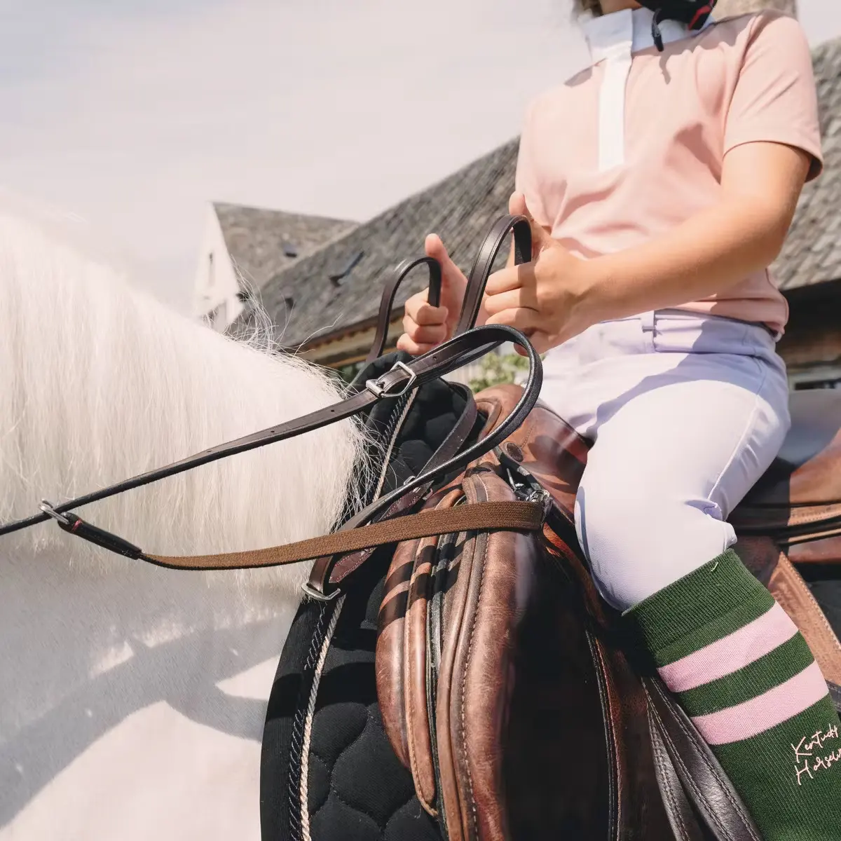 Rênes pour cheval en cuir avec support Dy'on Working Collection