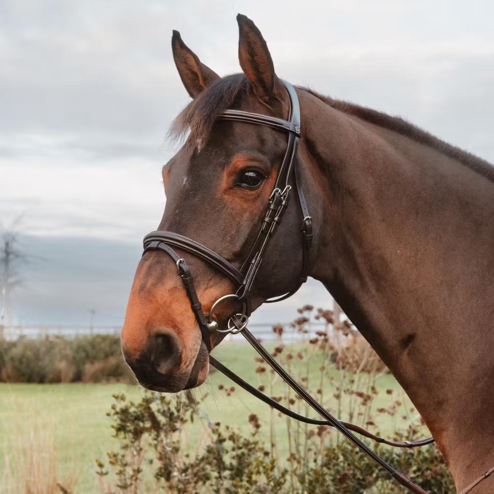 Redini per cavallo in gomma con 7 fermagli in cuoio, chiusura a anelli, senza collare Dy'on