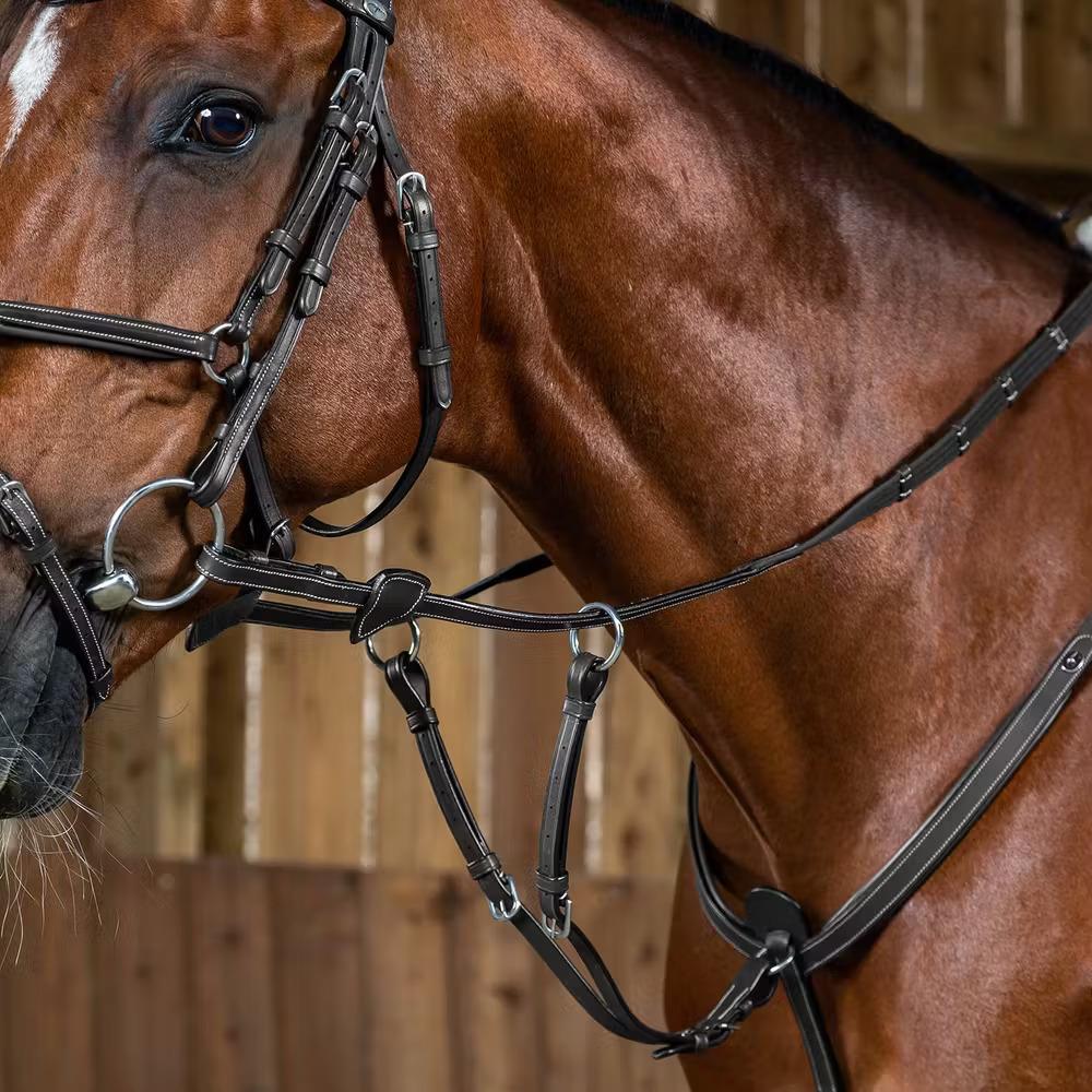 Martingala per cavalli Dy'on Working