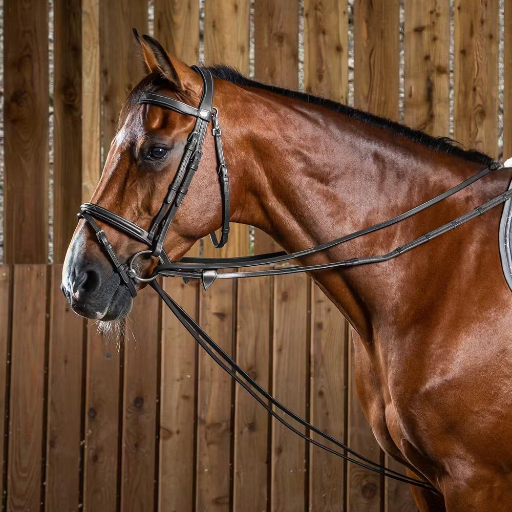 Redini per cavallo in pelle totale Dy'on Working