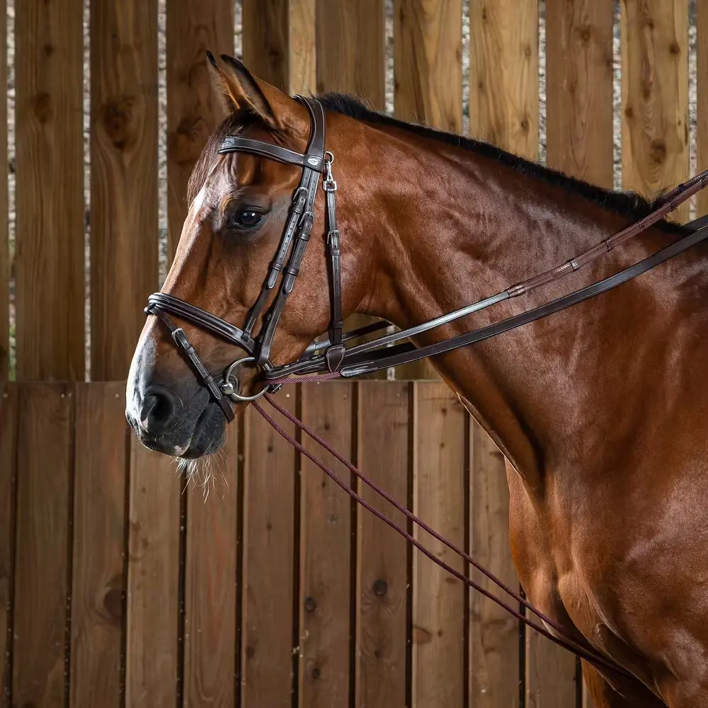 Rênes pour cheval en cuir Dy'on Working 5/8"