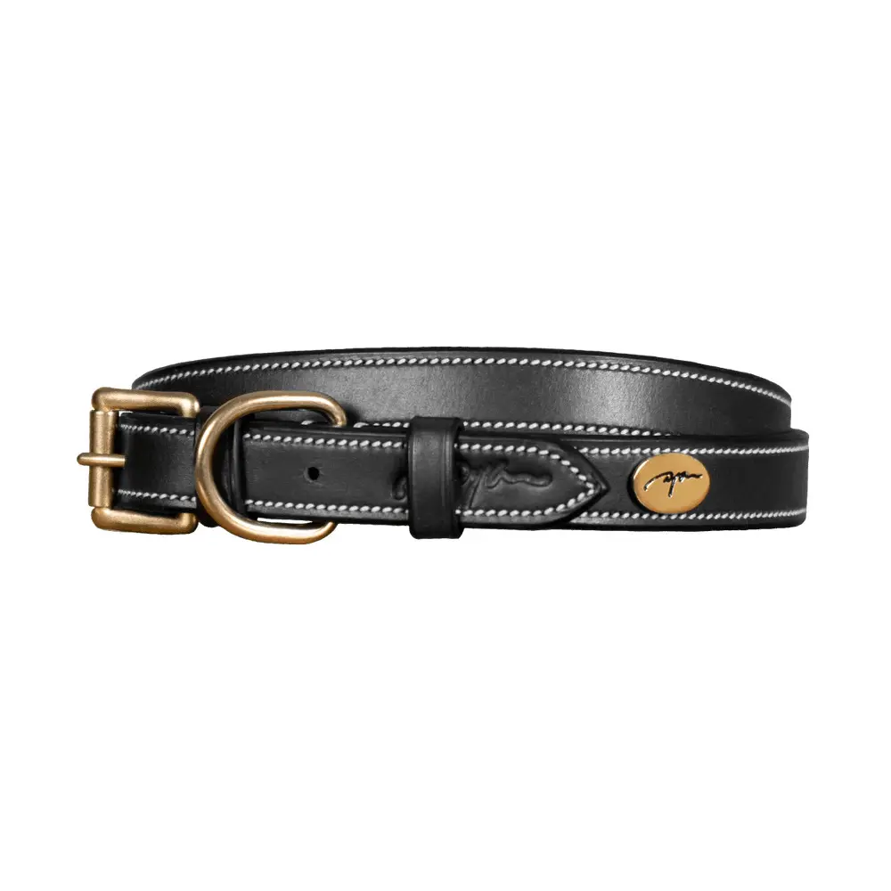 Comparer les prix de Collier pour chien cuir plat Dy’on