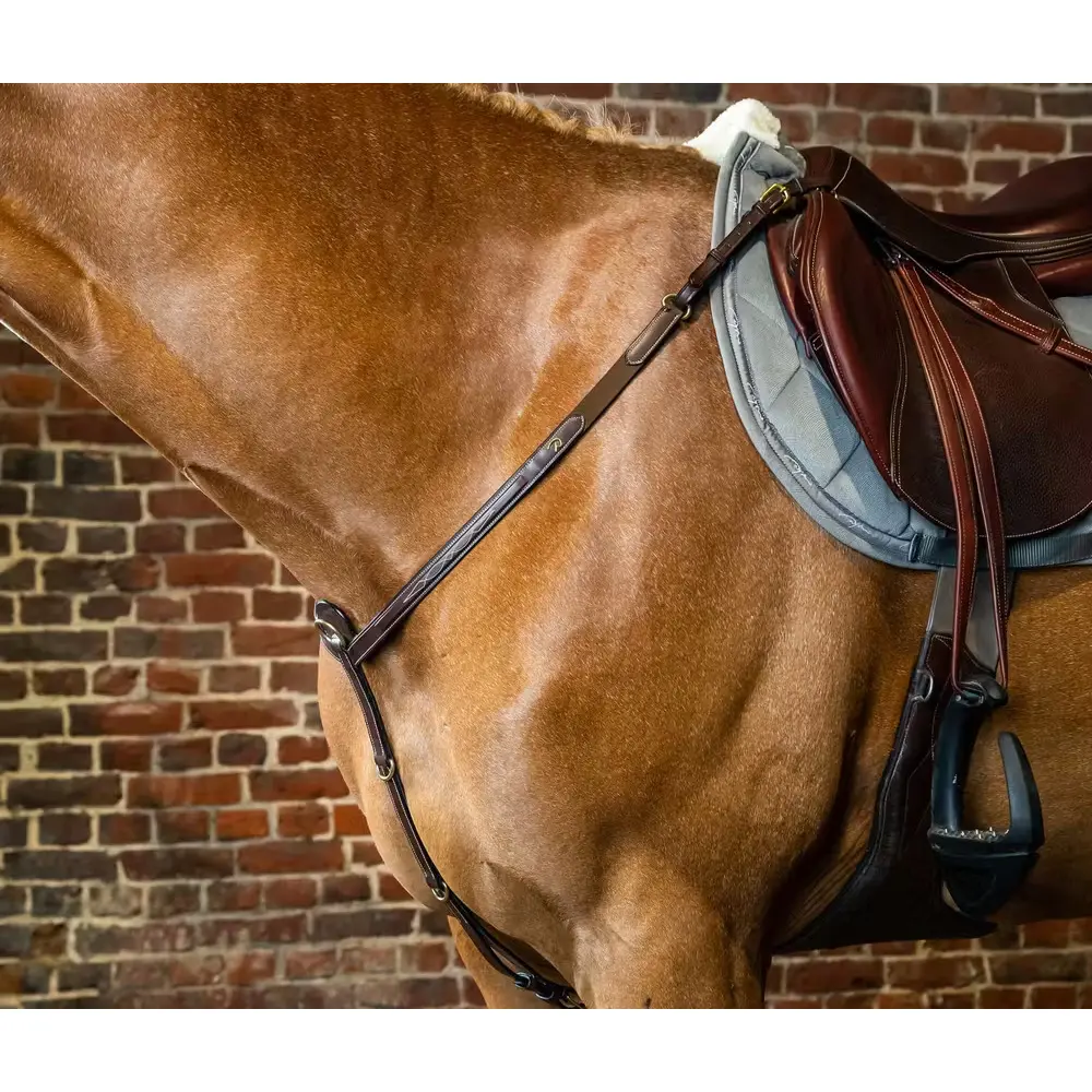 Meilleurs prix pour Collier de chasse pour cob Dy'on