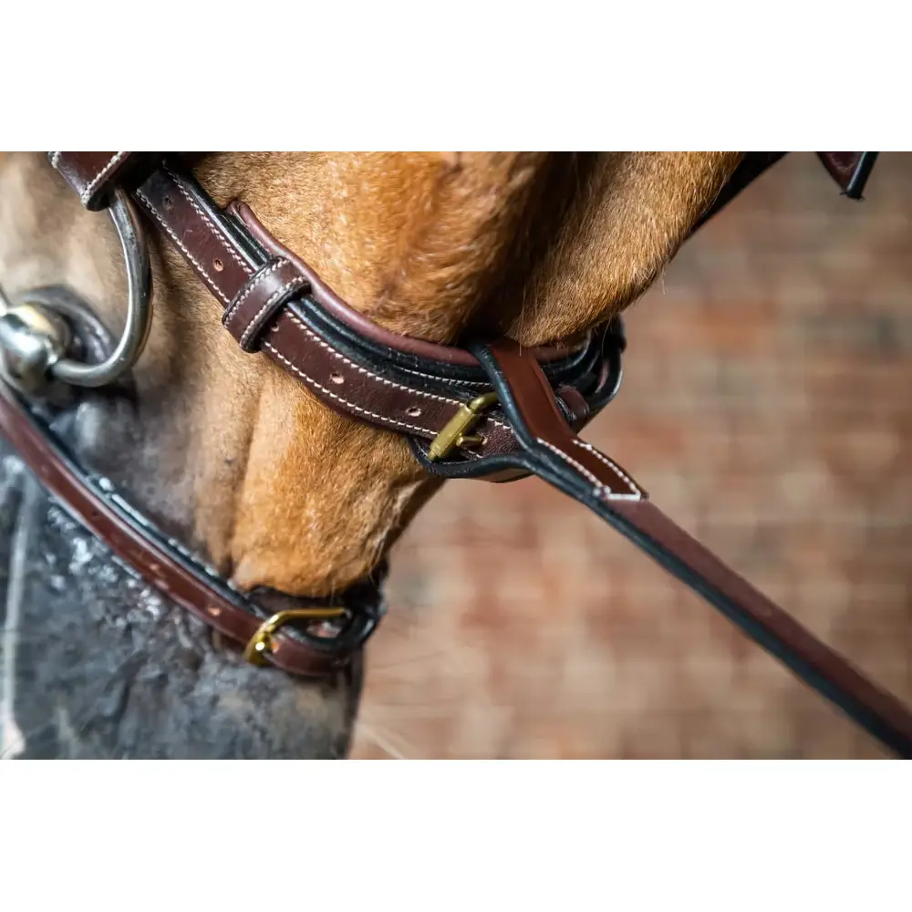 Dyon Marron Martingale Fork Dy'on