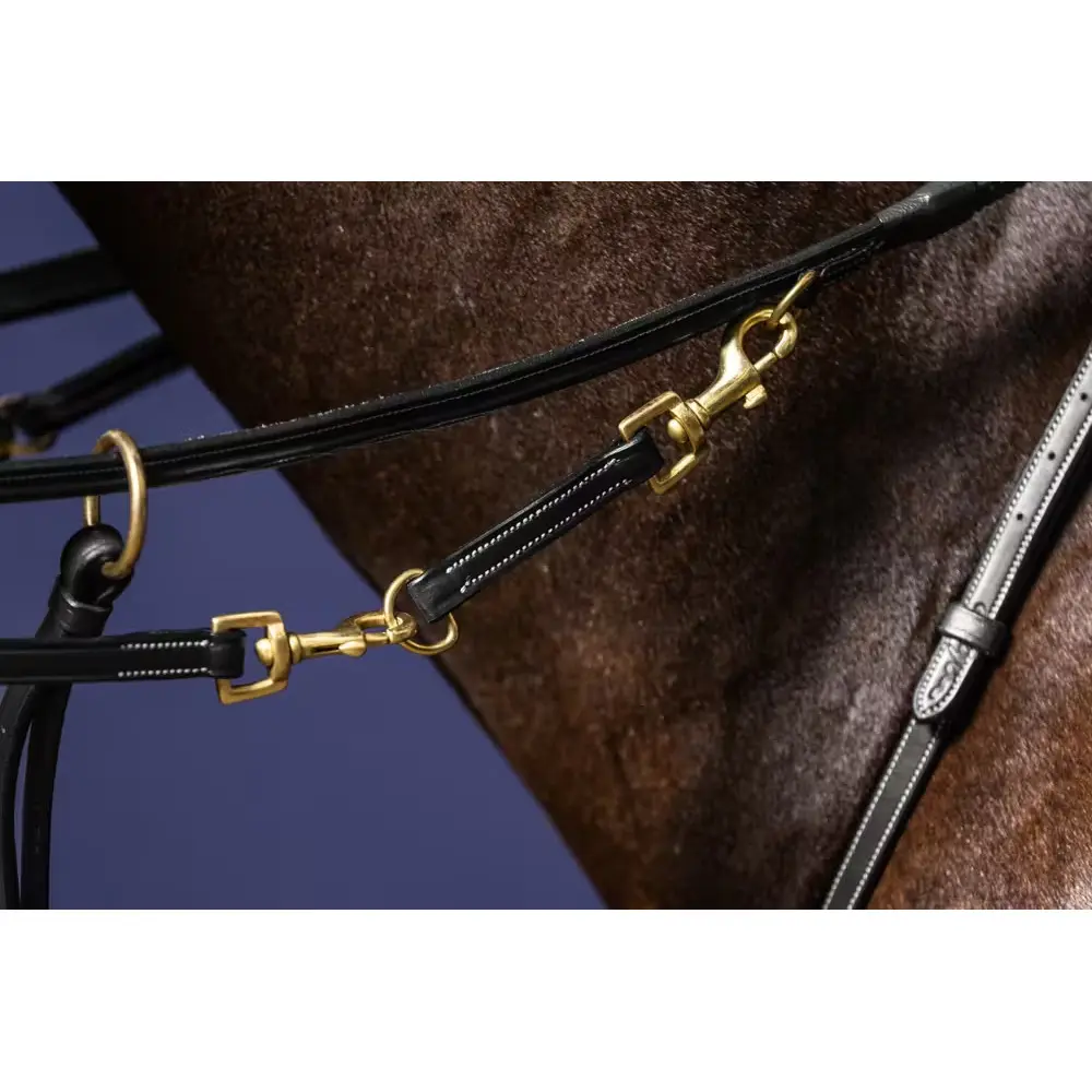 Meilleurs prix pour Fourche de martingale Dy'on Howlett