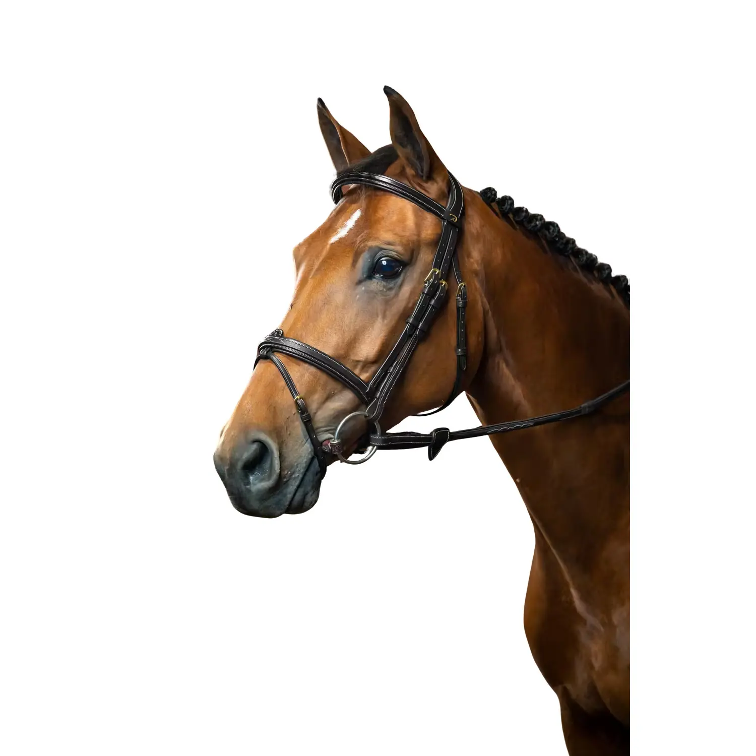 Dyon Noir Combined Riding Bridle And Noseband Dy'on