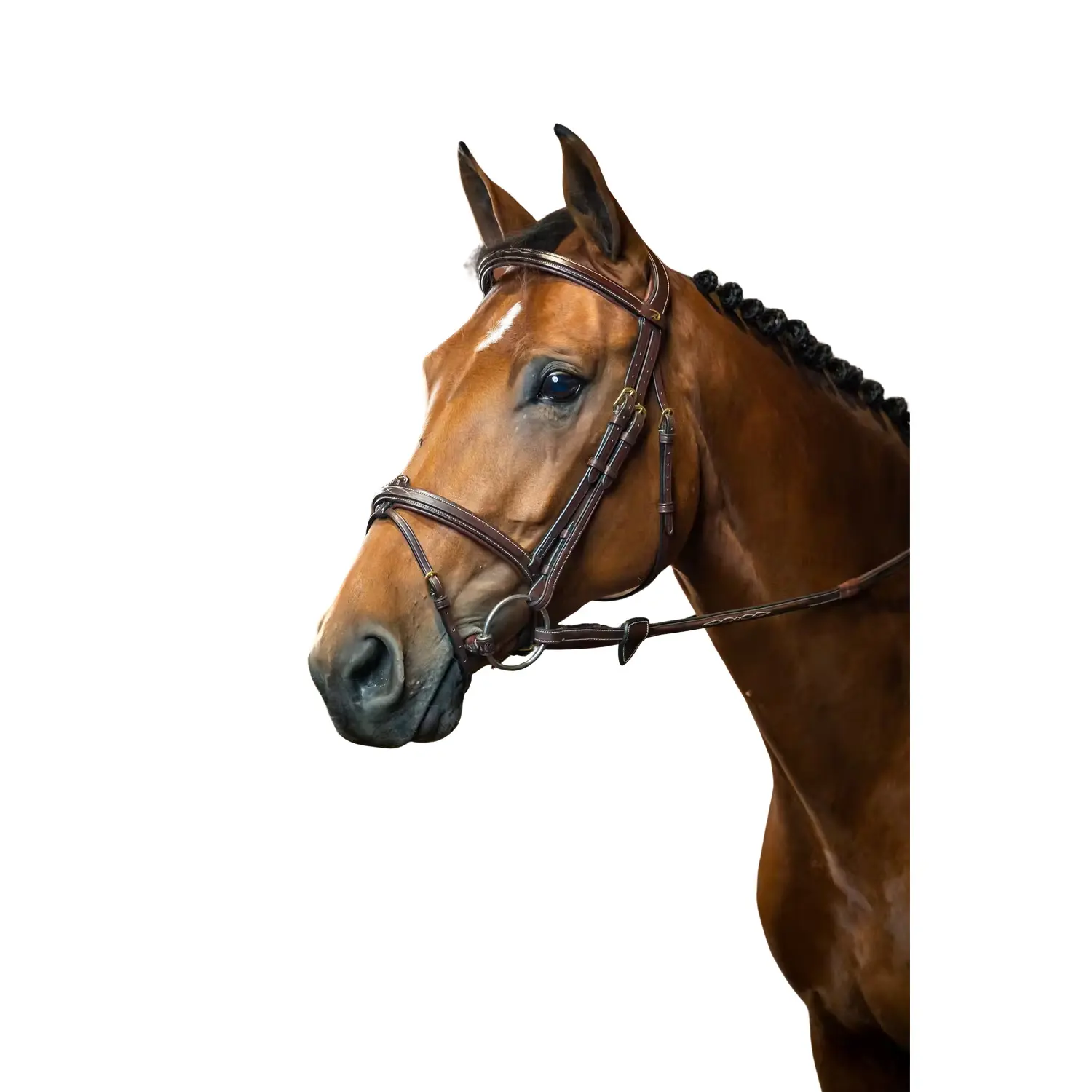 Dyon Marron Combined Riding Bridle And Noseband Dy'on