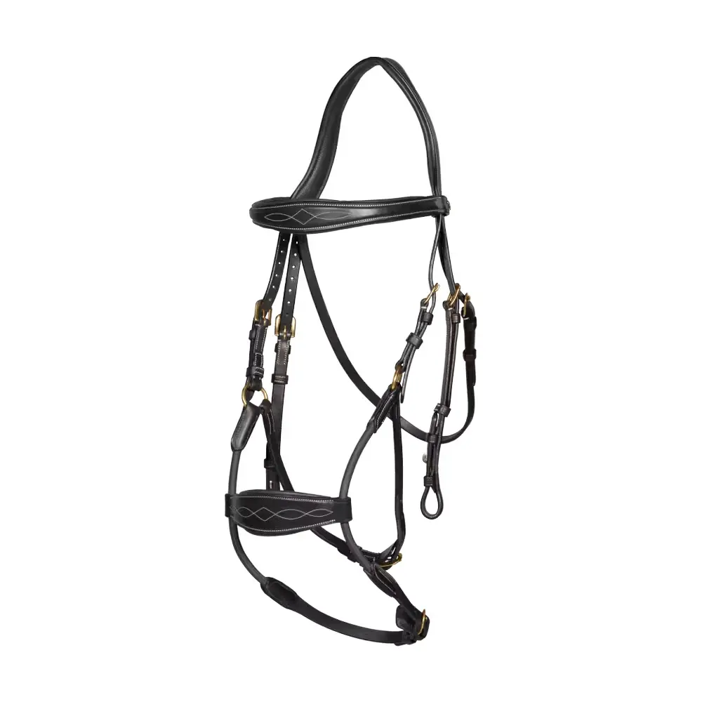 Bridon équitation muserolle combinée anatomique élastique Dy'on Hybride