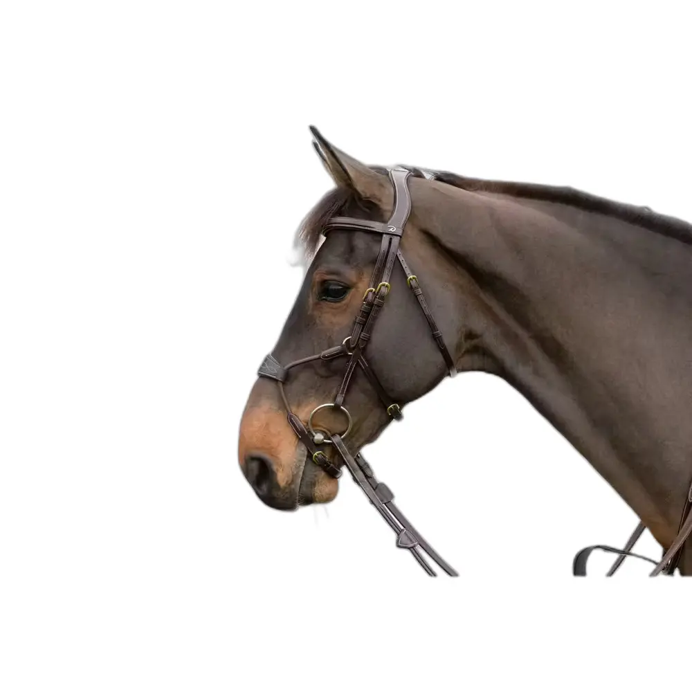 Meilleurs prix pour Bridon équitation muserolle combinée anatomique élastique Dy'on Hybride