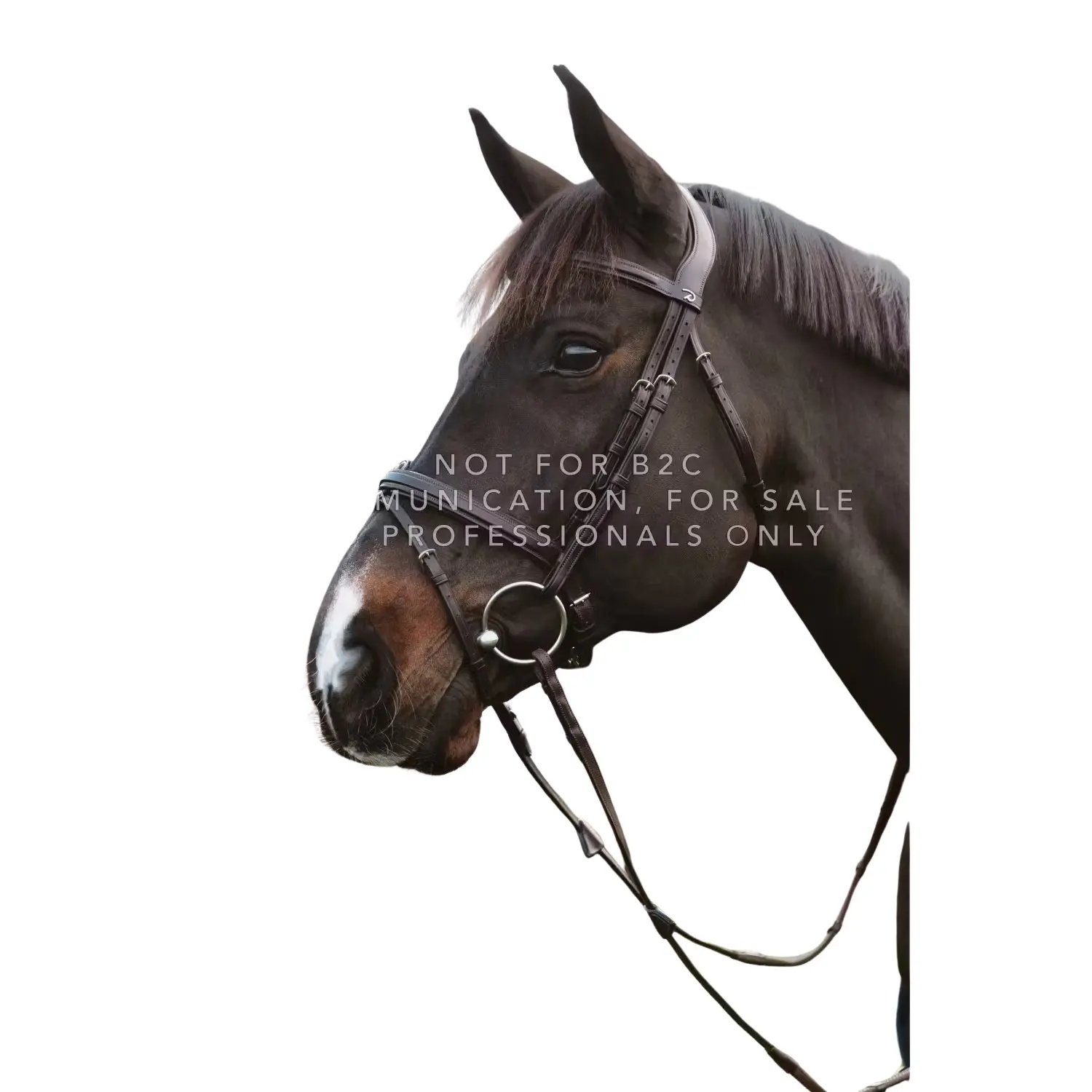 Dyon Marron Combined Bridle For Horse With Chains Dy'on