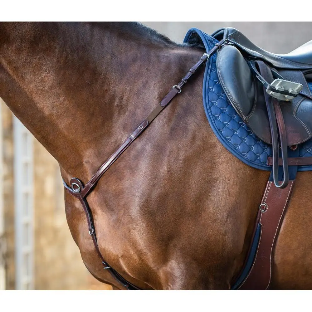 Meilleurs prix pour Collier de chasse pour cheval Dy'on