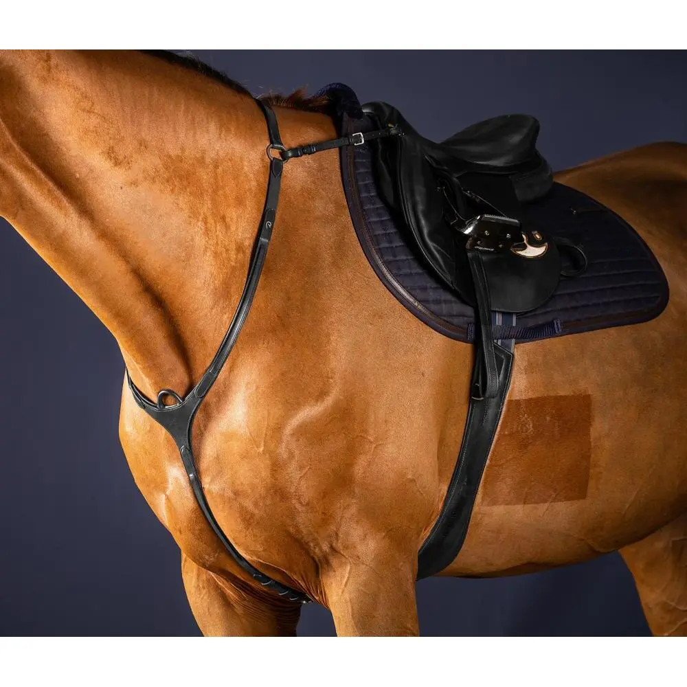 Meilleurs prix pour Collier de chasse pour cheval à pont Dy’on