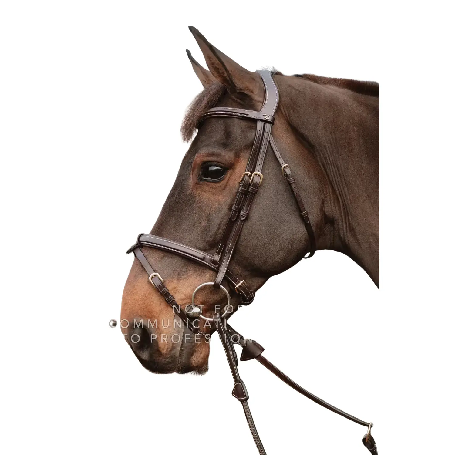 Comparer les prix de Sous Barbe 1/2 avec 2 attaches amovibles et chaines Dy'on