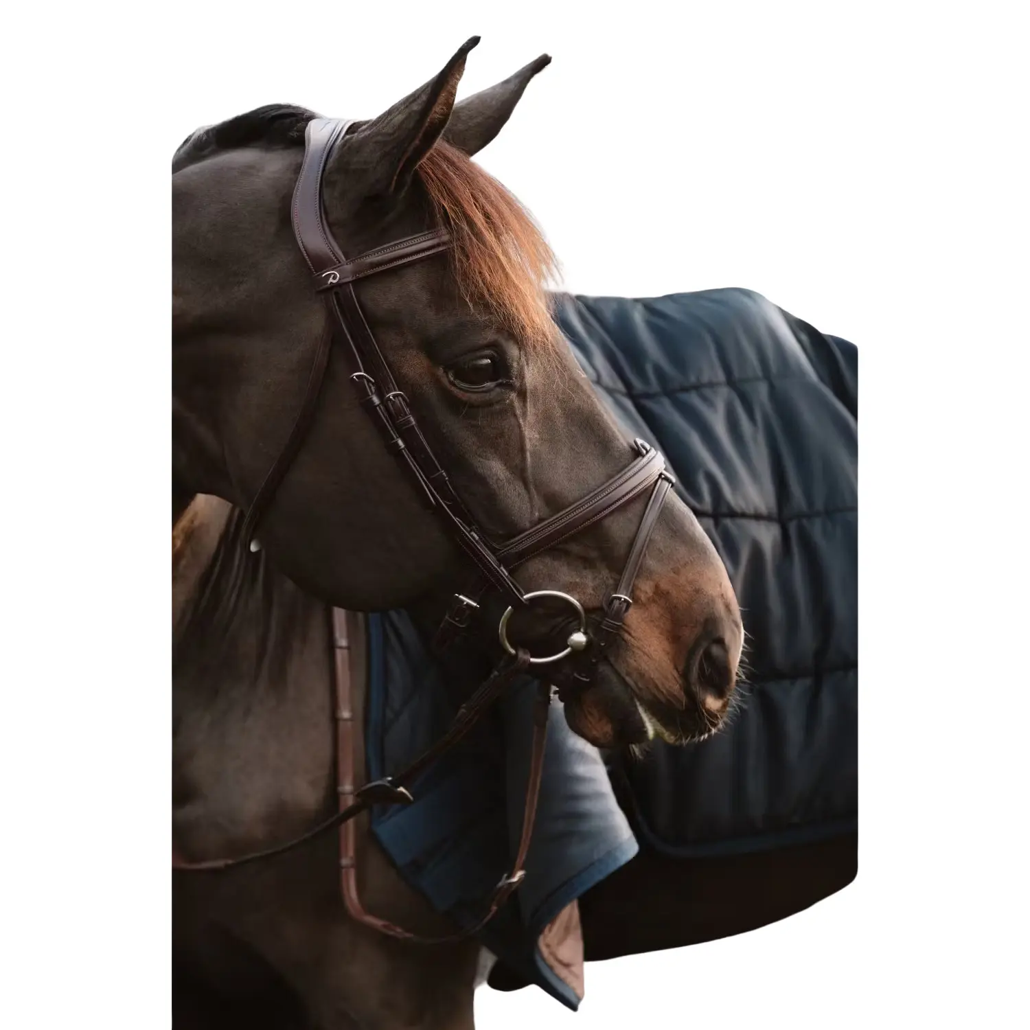 Meilleurs prix pour Sous Barbe 1/2 avec chaines Dy'on