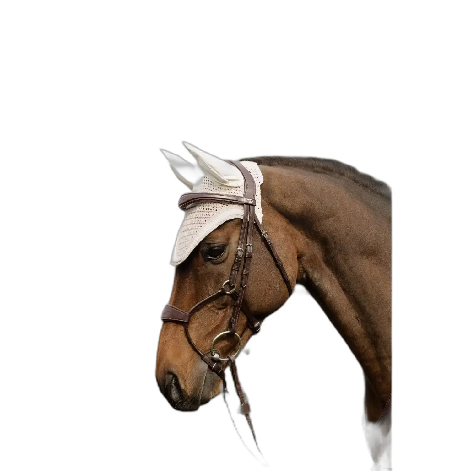 Dyon Marron Combined Anatomic Noseband Bridle Dy'on Hybride