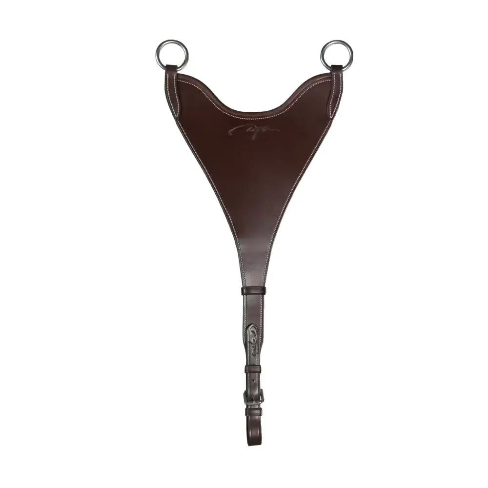 Fourche de martingale pleine rigide Dy’on
