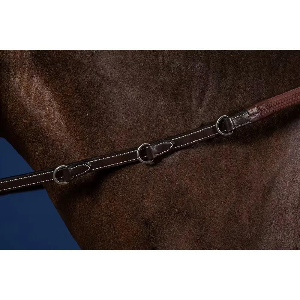 Rênes pour poney en caoutchouc avec 7 arretoirs Dy'on Howlett 3 D
