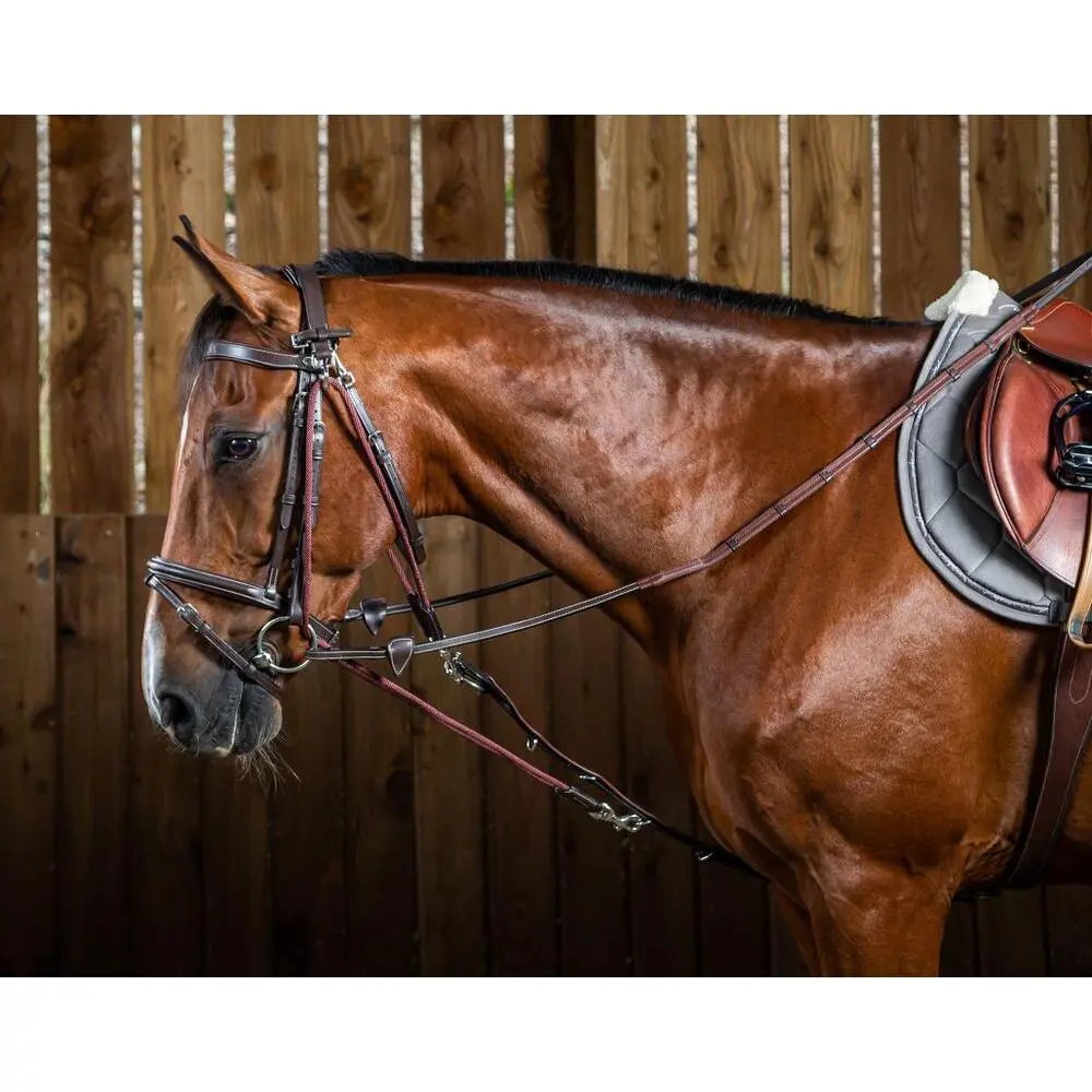 Dyon Marron Nylon Horse Bridle Accessory Dy'on Gogue