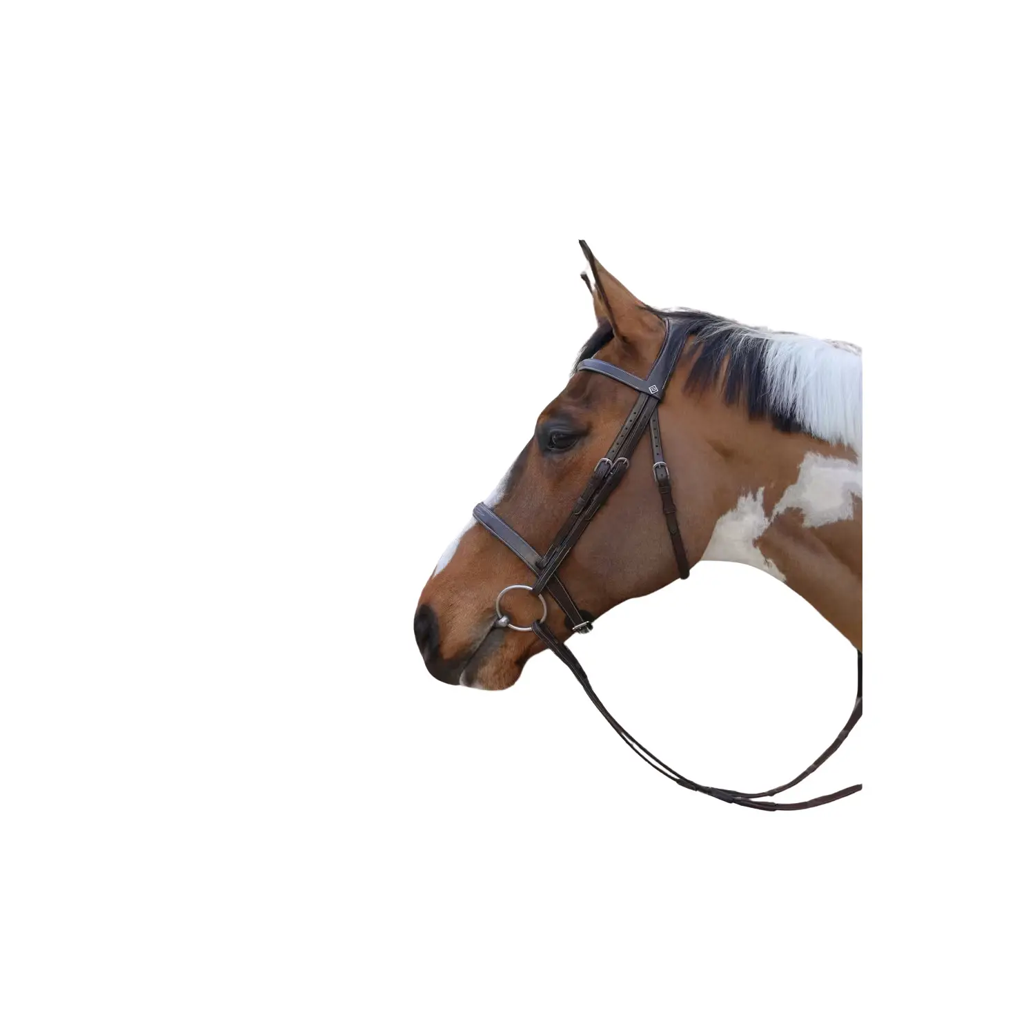 Comparer les prix de Bridons équitation muserolle combinée anatomique Dy'on Hunter