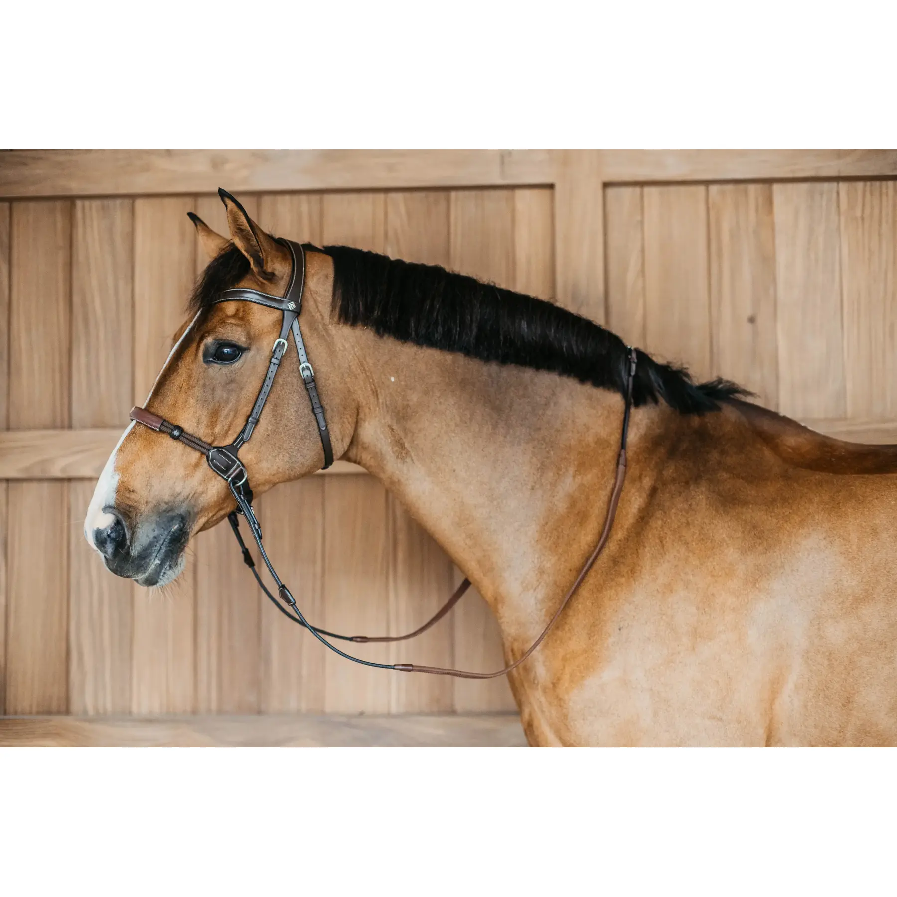 Dyon Marron Bitless Bridles Dy'on
