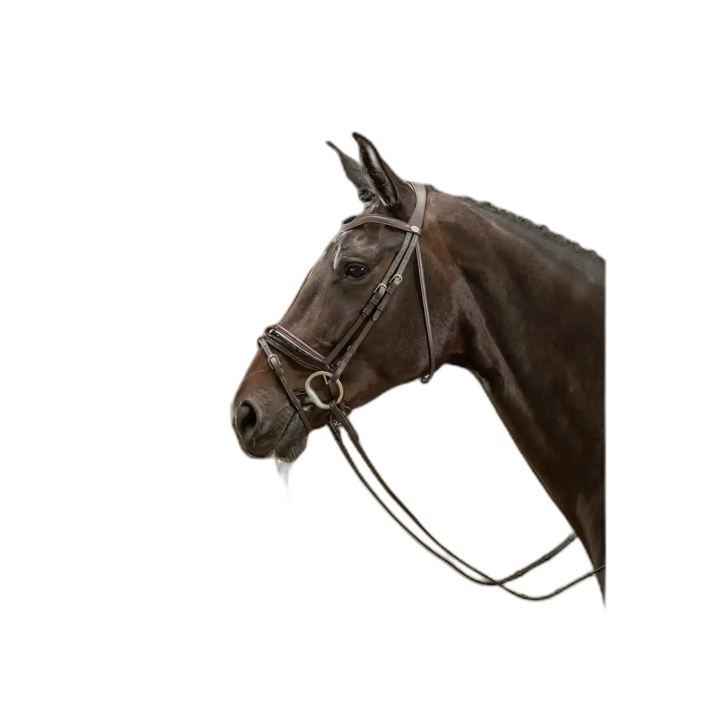 Comparer les prix de Bridon équitation muserolle combinée large vernis Dy'on