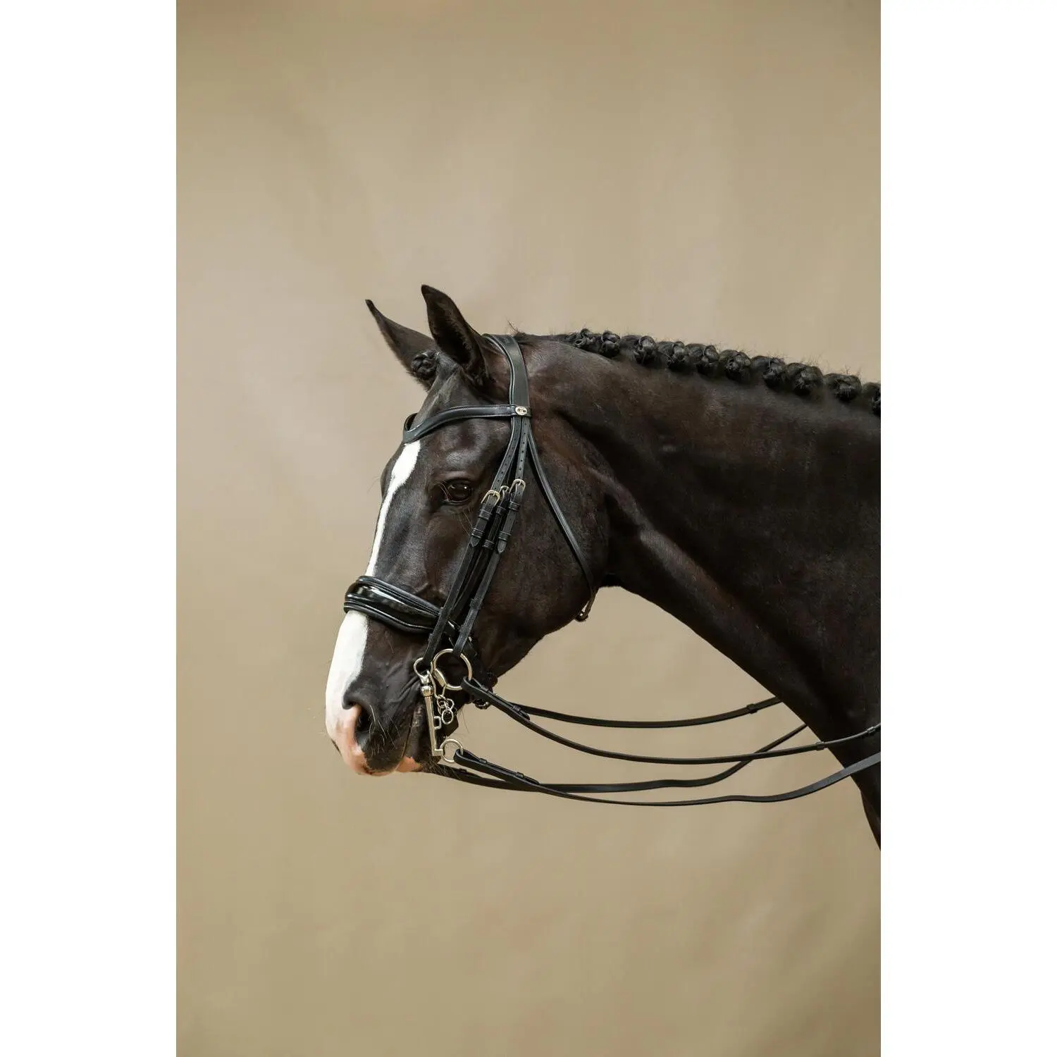 Dyon Noir Varnished Wide Noseband Bridle Dy'on