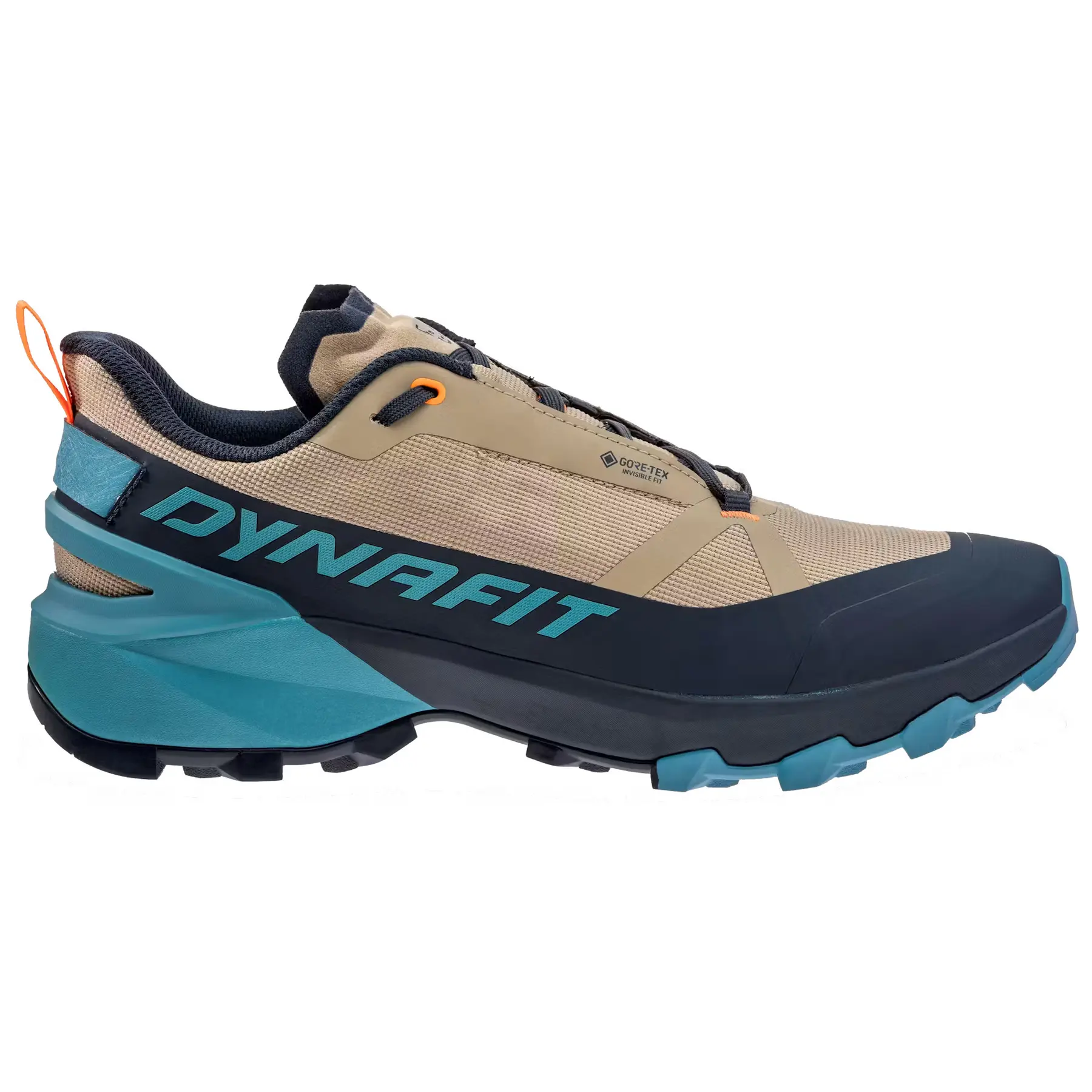 Hiking shoes Dynafit Transalper Gtx